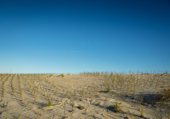 Beautiful beach in day time