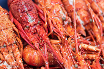 Tokyo, Japan Street in Tsukiji outer market near Ginza with closeup display of cooked or raw lobster background