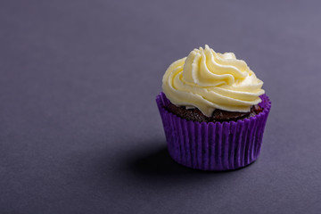 Cupcake in purple wrap on dark blue background. Minimalist. Copy space.