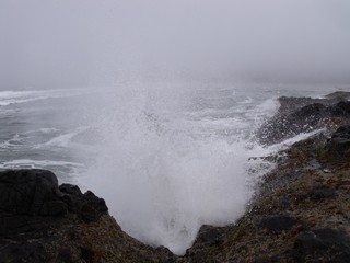 Stormy coast