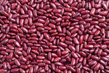 red bean background ,red bean organic