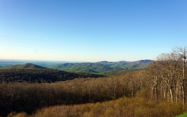 Rolling green mountains under a rich blue sky with bare trees in the foreground and dense forest in the background