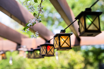 Patio outdoor spring garden in backyard of home with closeup of lantern lamps lights hanging from pergola canopy wooden gazebo and plants white flowers - obrazy, fototapety, plakaty