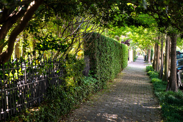 New Orleans, USA Old street historic Garden district in Louisiana famous town city with cobblestone...