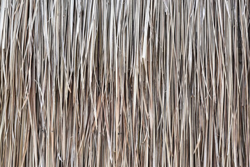 Grasses thatch roof background texture, wallpaper