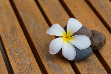 White Plumeria flower with river stone on wood