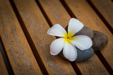 White Plumeria flower with river stone on wood