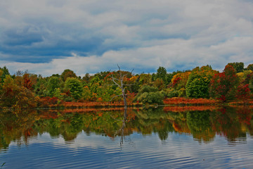 autumn landscape with lake and trees