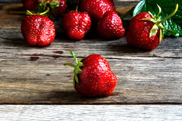 Harvest strawberries from the garden beds on the old board.