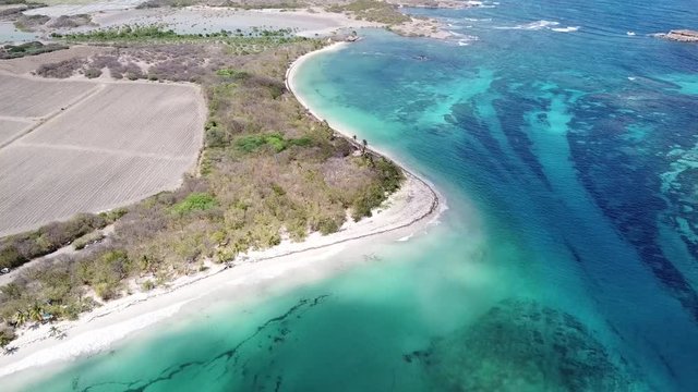 drone aerial over les salines beach table du diable savane des petrifications sainte anne martinique