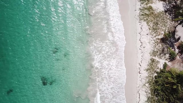 drone aerial over les salines beach table du diable savane des petrifications sainte anne martinique