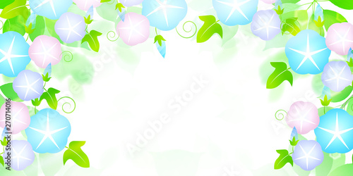 朝顔 花 夏 背景 Wall Mural Wallpaper Murals J Boy