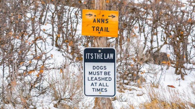 Panorama Various Trail Signs And Dog Leash Sign On An Old Wooden Post