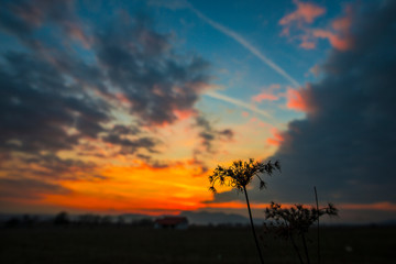 Fototapeta na wymiar Orange sky landscape at the sunset