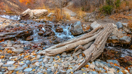 Panorama Bridge made of tree trunk over a rocky creek with shallow flowing water