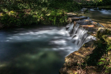 waterfall in forest