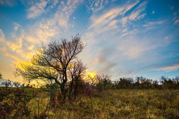 Clouds at the sunset