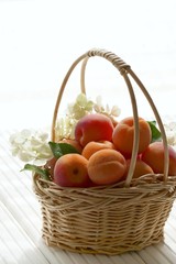 Apricots fruit.Ripe apricots and flowers of  hydrangea in a wicker basket on a wooden white table  on a white background.Summer  Healthy vegetarian sweet fruit.