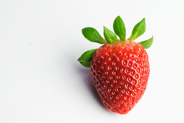 Isolated Strawberry