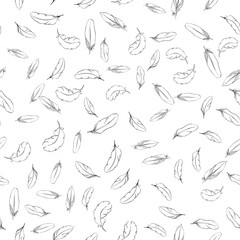 Seamless pattern with feathers. Drawn with watercolor, ink and pen. For fabric, paper, cards, invitations, envelopes, save the date and other.