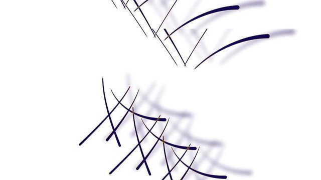 animated lines curves abstract background