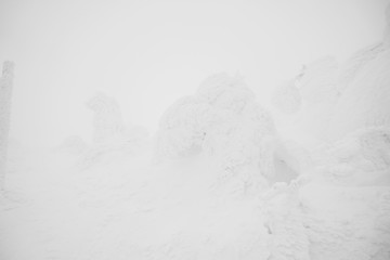 Fototapeta na wymiar Snow Monsters area Mountain Zao, Japan .