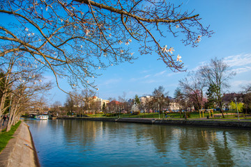 Fototapeta premium Amazing springtime