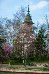 Fototapeta na wymiar Springtime in Timisoara, Romania