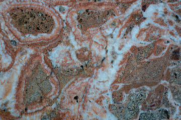 Fototapeta na wymiar marble texture background, Stone texture background
