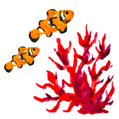 orange clownfish swimming in sea ocean watercolor painting illustration design hand drawing - obrazy, fototapety, plakaty