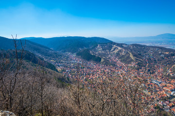 Springtime landscape in the park