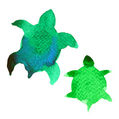 mom and baby turtle watercolor painting illustration design hand drawing