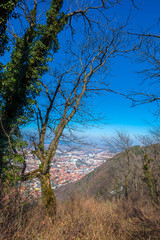 Springtime landscape in the park