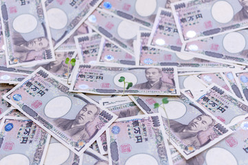 成長するお金-金融と投資の概念