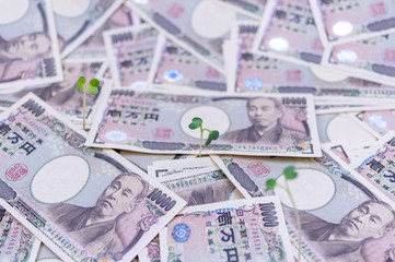 成長するお金-金融と投資の概念