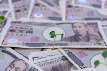 成長するお金-金融と投資の概念