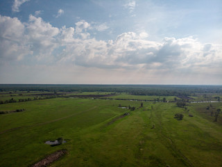 Green field with road path that is split. Kiev, Ukraine