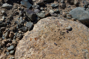 Smooth stone. Stones background and texture. Natural background. Selective focus.