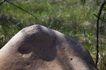 Smooth stone. Stones background and texture. Natural background. Selective focus.