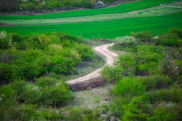 Springtime landscape