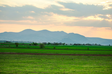 Fototapeta premium Springtime landscape