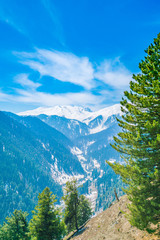 Beautiful tree and snow covered mountains landscape Kashmir state, India