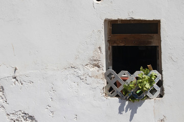 The typical blue windows found in Essaouira, Morocco