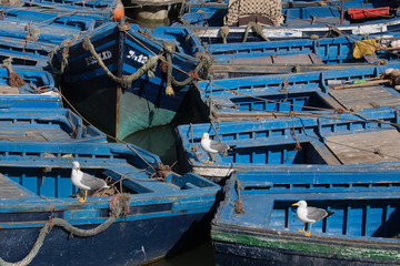 The famous blue fishing boats of Essaouira, Morocco