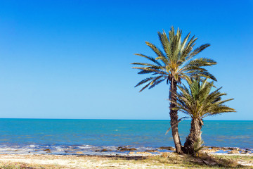 View of beautiful beach in Djerba, Tunisia