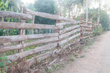 fence garden in Thailand
