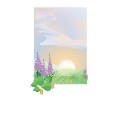 Sunrise on a glade of willow-tea