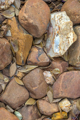 Closeup of loose rocks and dry leaves image for background use with copy space