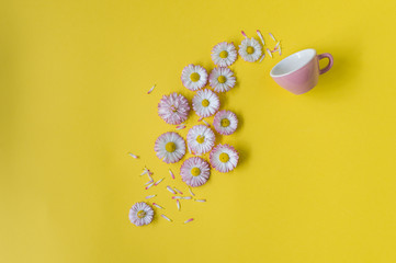 Creative concept with a pink cup and flowers on a yellow background. Daisies  pour out of the cup. Spring concept. Flat lay, top view, copy space, soft focus.