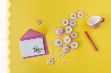 Greeting card with pink daisies on yellow background. Postcard concept. Minimalism, soft focus, place for text, close up.
